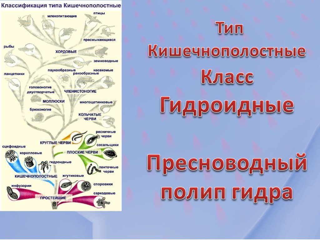 Кракен купить наркоту