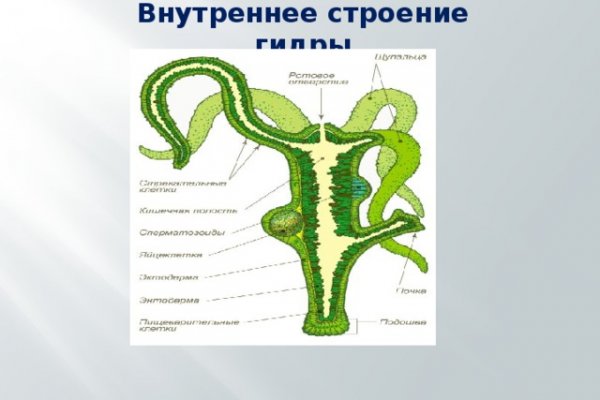 Как выйти на кракен