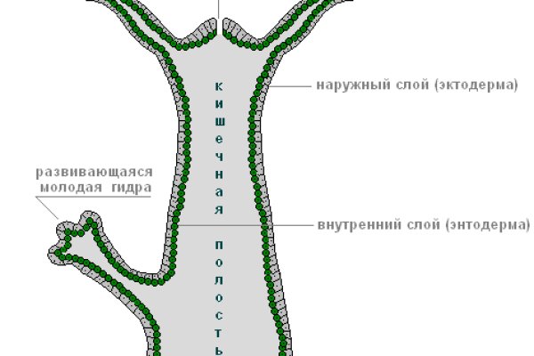 Кракен современный даркнет маркет плейс