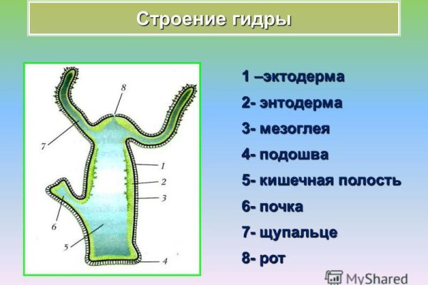 Кракен сайт 1kraken me