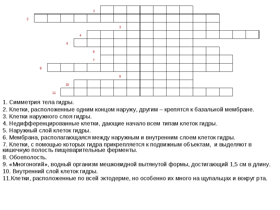 Как сделать заказ на кракен